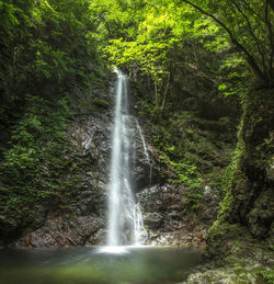 Waterfall in forest