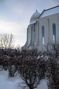 Bare trees by building against sky during winter