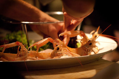 Close-up of human hand