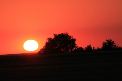 Silhouette of trees at sunset