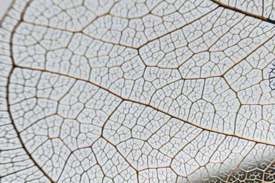 Full frame shot of patterned glass