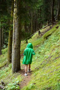 Rear view of woman wearing hooded jacket walking in forest against tree trunks