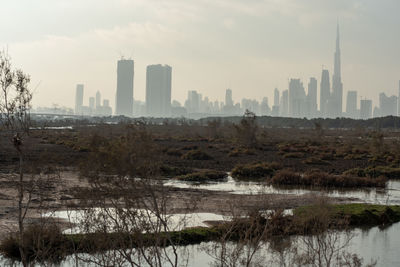 Flamingoes in ras al khor wildlife sanctuary, ramsar site, flamingo hide2, dubai, uae