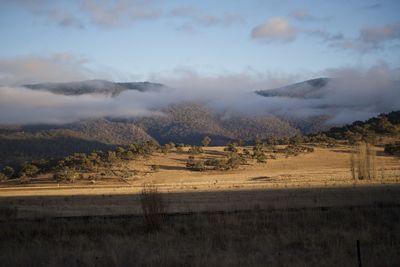 Scenic view of landscape against sky