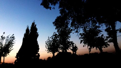 Silhouette trees against sky during sunset