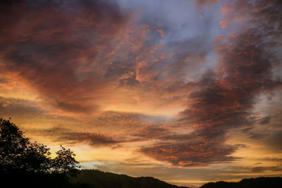 Low angle view of silhouette trees against dramatic sky