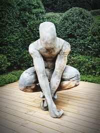 Close-up of statue against wooden wall in yard