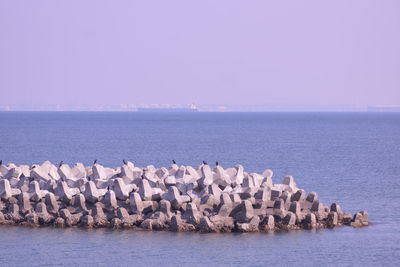 Landscape by the sea in an industrial area