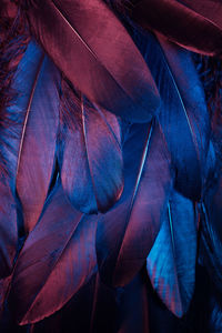 Full frame shot of leaves