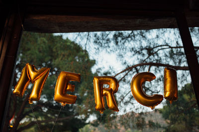 Close-up of clothes hanging on tree