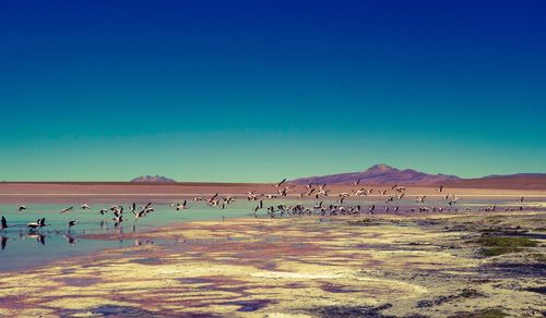 Scenic view of land against clear blue sky