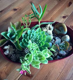 High angle view of vegetables on table