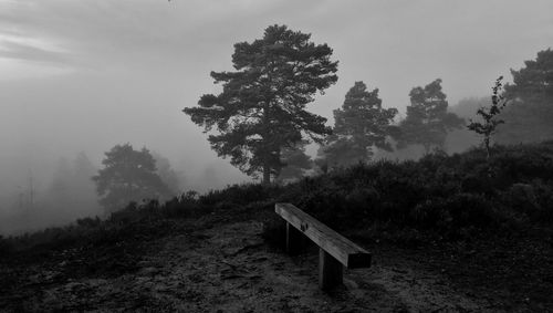 Single bench with tree on hill top overlooking a foggy canyon at dawn black and white 
