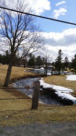 Bare trees on snow covered landscape