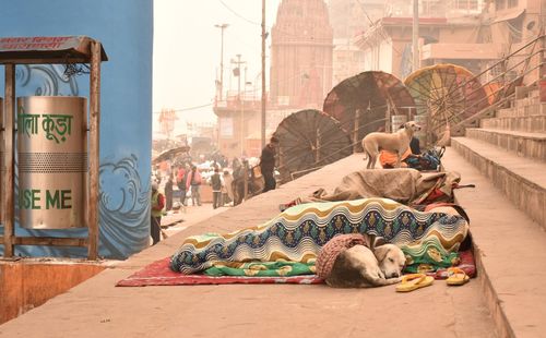 People sleeping on street in city