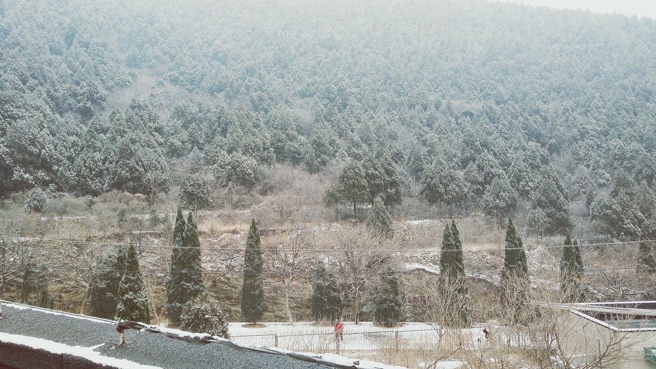 AERIAL VIEW OF SNOWY LANDSCAPE