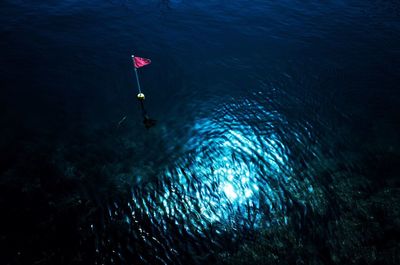 High angle view of man swimming in sea