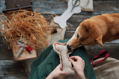 Midsections of woman making diy dog toys from textile and eco filler. pets care concept 