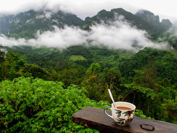 Close-up of coffee cup on mountain in forest