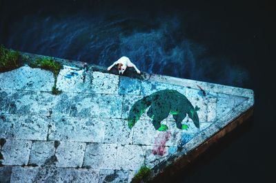 High angle view of woman swimming in wall