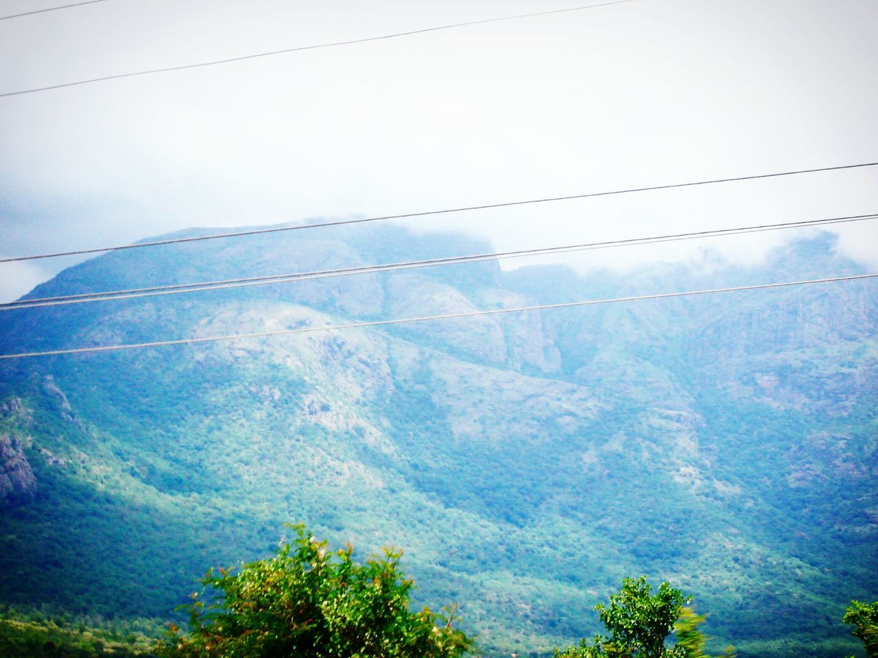 sky, tree, scenics - nature, day, no people, plant, mountain, nature, environment, beauty in nature, cable, tranquil scene, tranquility, landscape, outdoors, low angle view, transparent, electricity, power line, non-urban scene