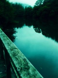 Scenic view of lake in forest
