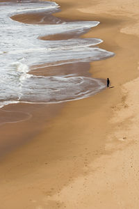 People on beach