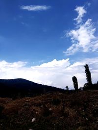 Low angle view of field against sky