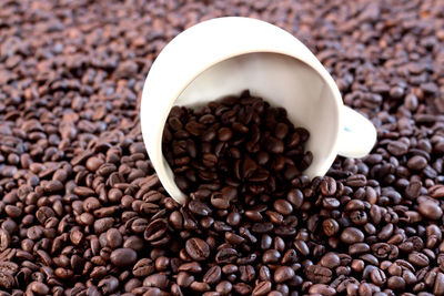 Close-up of coffee beans