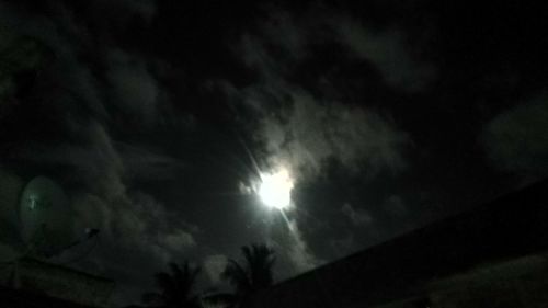 Low angle view of silhouette trees against sky at night