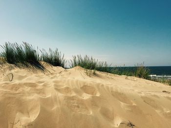 Scenic view of beach against clear blue sky