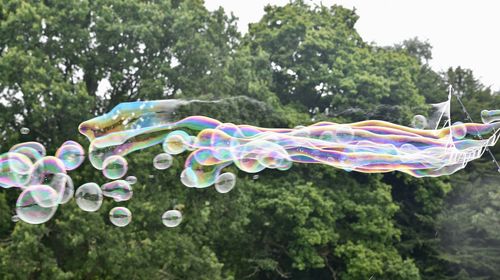 Close-up of bubbles over water against trees