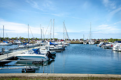 Sailboats moored in harbor