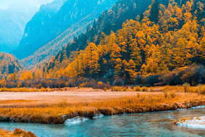 Scenic view of lake against sky during autumn