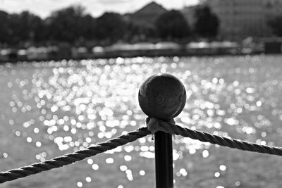 Close-up of chainlink fence