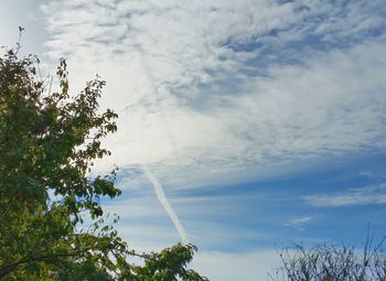 Low angle view of trees against cloudy sky