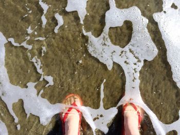 Low section of woman standing in sea