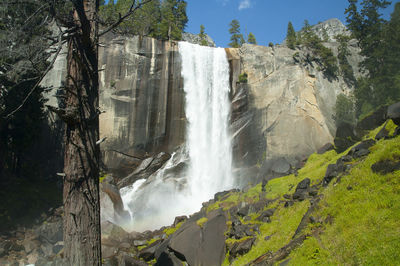 Scenic view of waterfall in forest