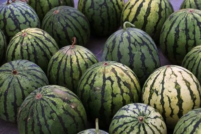 Watermelons for sale on the floor