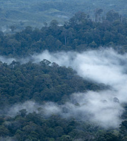 High angle view of waterfall in forest