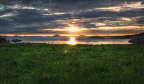 Scenic view of grassy field against sky during sunset