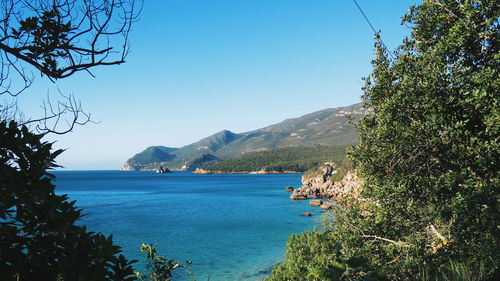 Scenic view of sea against clear blue sky