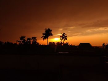 Silhouette palm trees against orange sky