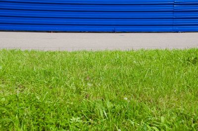 Plants growing on field