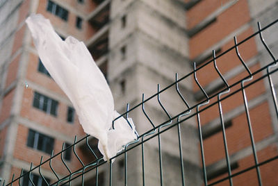 Low angle view of textile on fence against building