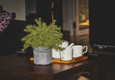 Close-up of potted plant on table at home