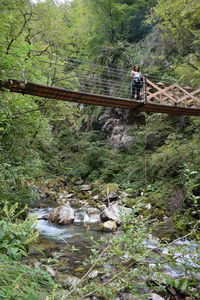 Distant view of woman standing on bridge over river in forest