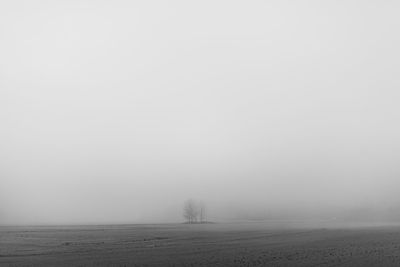 Scenic view of field against sky during winter