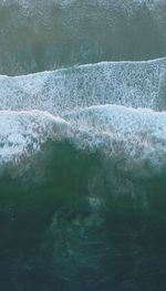 Close-up of tree against sky