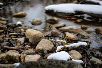 Surface level of pebble beach